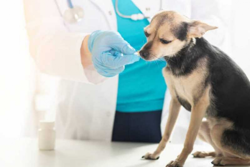 Centro Veterinário para Animais de Grande Porte Arraial do Cabo - Centro Hospitalar Veterinário
