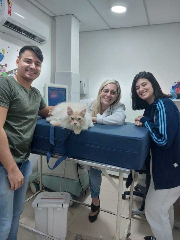Citologia para Animais Domésticos Clínica Carapebus - Citologia Veterinária Diagnóstica Rio de Janeiro
