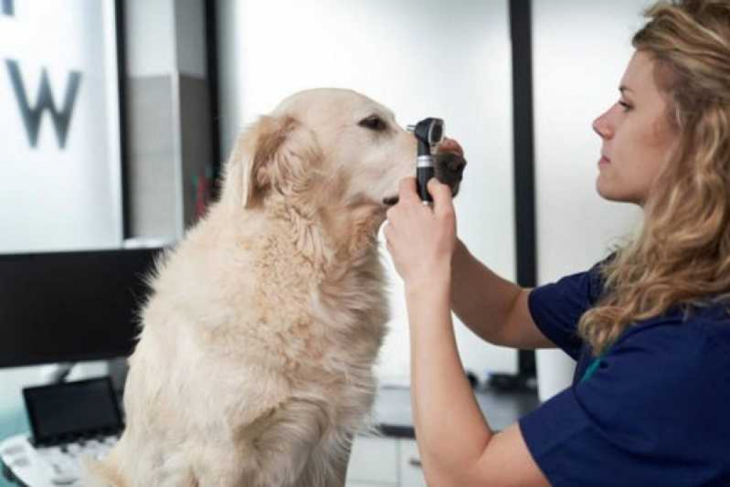 Clínica com Veterinário Especializado em Oftalmologia Mendes - Veterinário de Cães