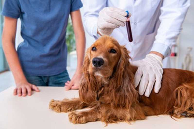 Clínica Especializada em Citologia para Animais Duque de Caxias - Citologia para Cachorros