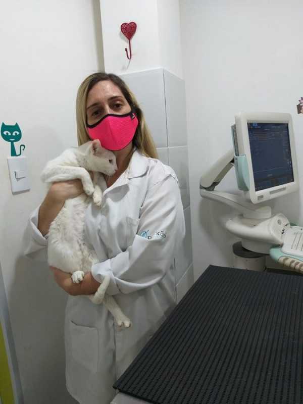 Clínica Especializada em Exame de Fezes para Animais Nilópolis - Exame de Urina para Animais