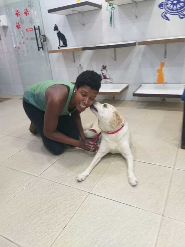 Clínica Especializada em Exame Hemograma Cachorro Iguaba Grande - Exame Veterinário Rio de Janeiro