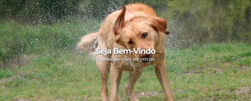 Endereço de Clínica Veterinária Rio das Ostras - Clínica Veterinária para Cães