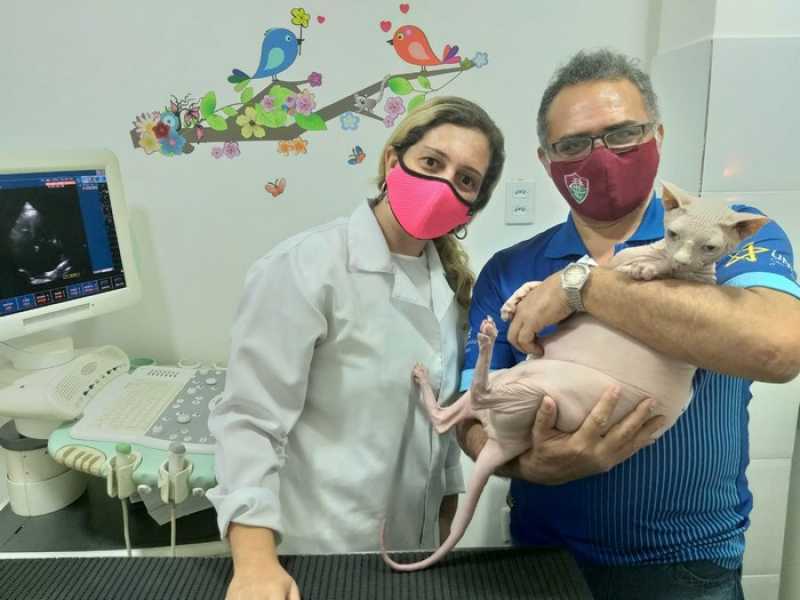 Onde Fazer Exame Hemograma Cachorro Niterói - Exame Clínico Veterinário