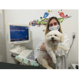 centro veterinário para cachorro endereço Niterói