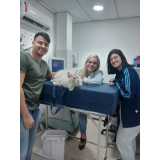 citologia otológica veterinária clínica Petrópolis