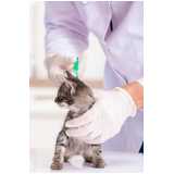 citologia para gatos clínica Maricá