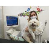 clínica especializada em cardiologista veterinário Maricá
