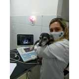 clínica especializada em citologia para cães Engenheiro Paulo de Frontin