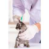clínica especializada em citologia para gatos Bom Jardim