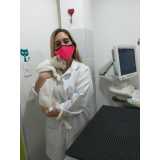 clínica especializada em exame de ultrassom para animais Niterói