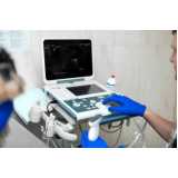 clínica especializada em ultrassom para animais silvestres Cantagalo