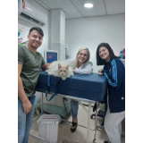 endereço de clínica veterinária lesão medular Quissamã
