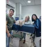 exame hemograma cachorro marcar Cardoso Moreira