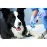 laboratório de análises clínicas veterinária endereço Mendes